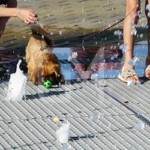 Фонтани і аквапарки 18 Фонтани і аквапарки 18