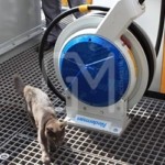 Виробництва різних типів 11 Виробництва різних типів 11