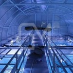 Фонтани і аквапарки 19 Фонтани і аквапарки 19