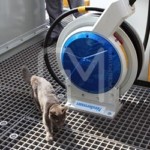 Порізка решіткового настилу 10 Порізка решіткового настилу 10